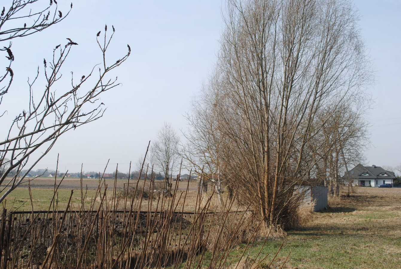 Działka rolna (rekreacyjna) 11,76 ar, Krępiec - Widok 2