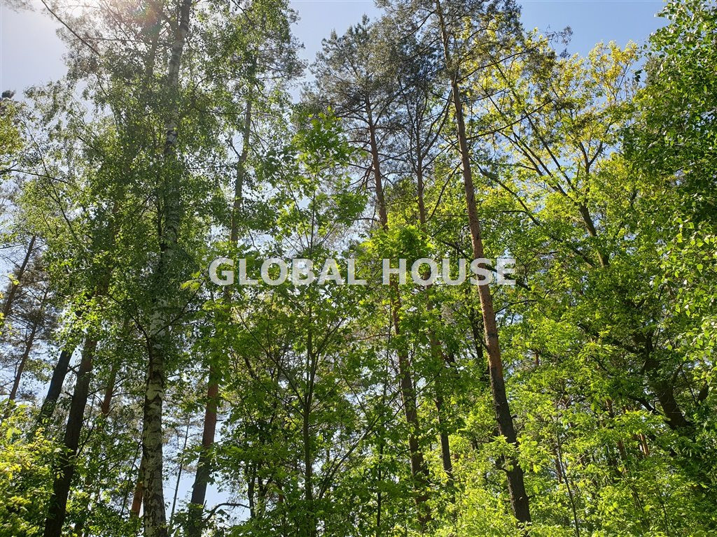 gratka-GS-2143 - Widok 3