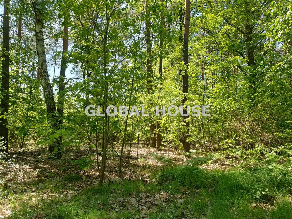 gratka-GS-2143 - Widok 4