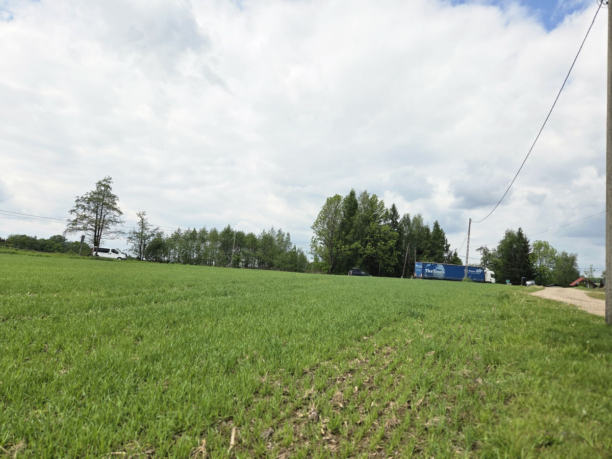 Wyźrał gm. Brzeźnica ; działka budowlano -rolna 3,55ha przy drodze powiatowej - Widok 3