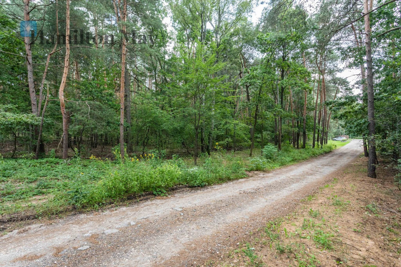 Działka budowlana na sprzedaż w Magdalence - Widok 3