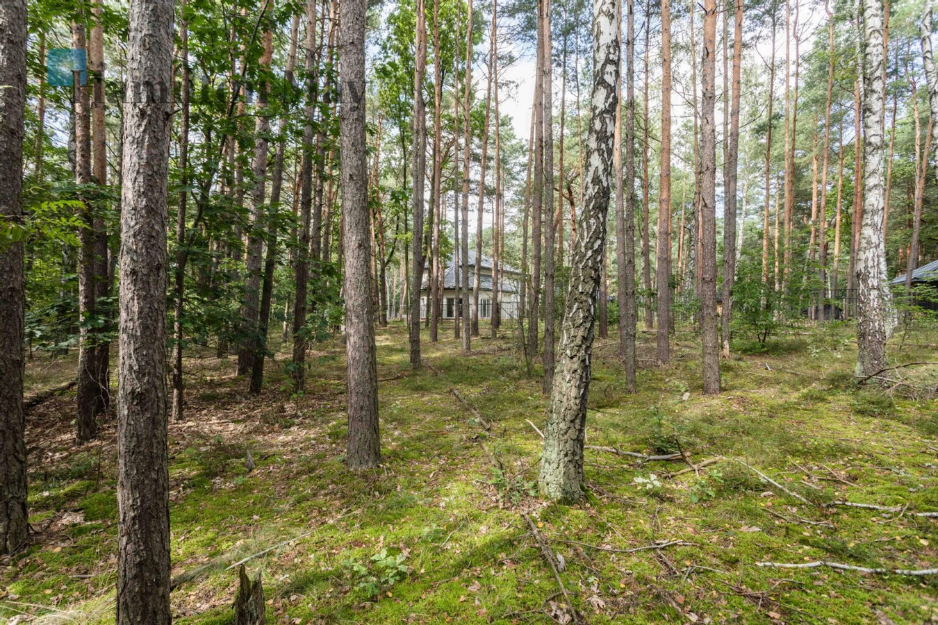 Działka budowlana na sprzedaż w Magdalence - Widok 6