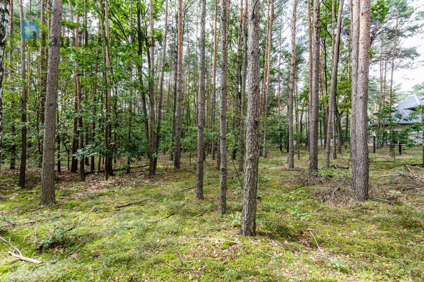 Działka budowlana na sprzedaż w Magdalence - Widok 5