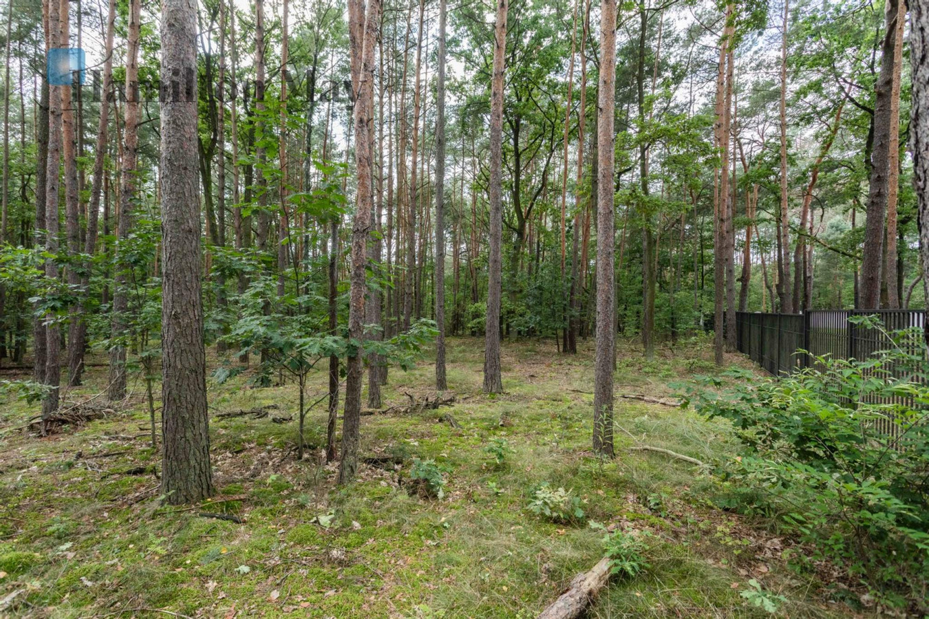 Działka budowlana na sprzedaż w Magdalence - Więcej