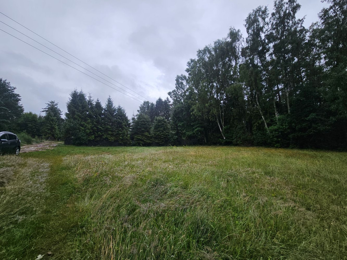 Działka w otulinie lasu, obowiązuje PZP - Widok 4