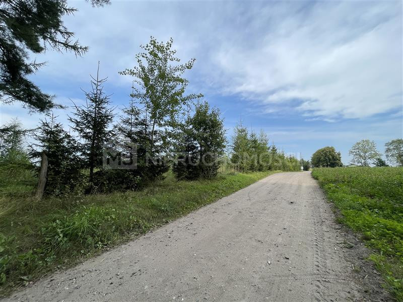 Działka budowlana przy lesie 1508 m² - Ciecholewy - Więcej