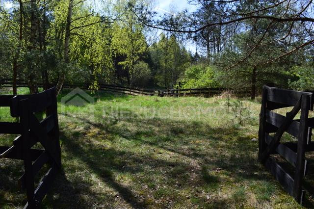 Bukowiny - działa na sprzedaż - Widok 4