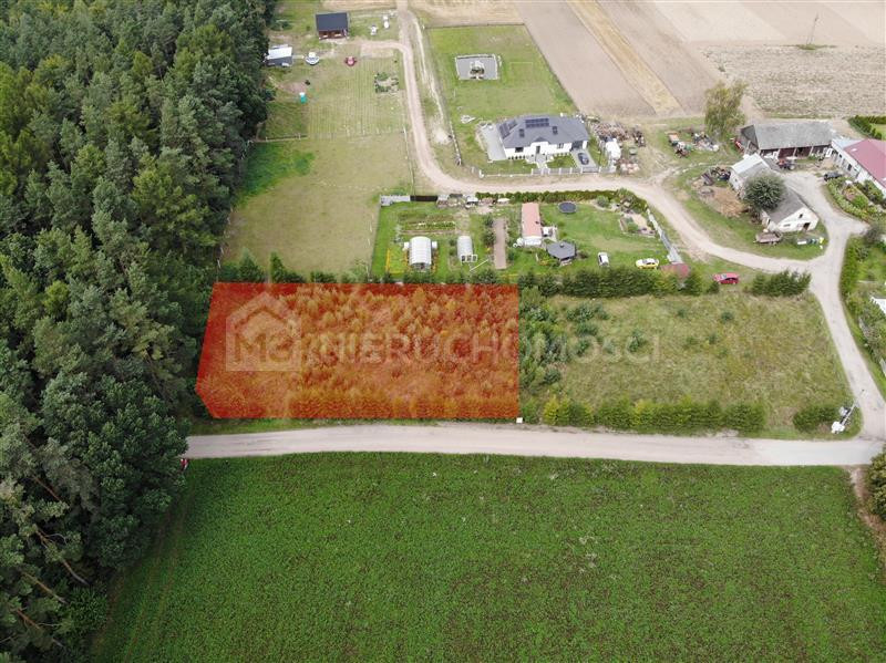 Działka budowlana przy lesie 1508 m² - Ciecholewy - Widok 2