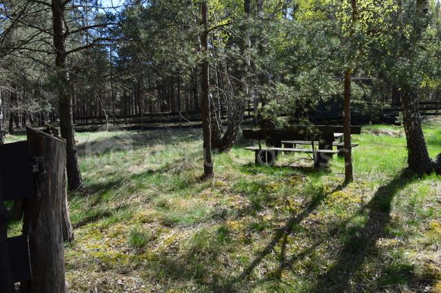 Bukowiny - działa na sprzedaż - Widok 5
