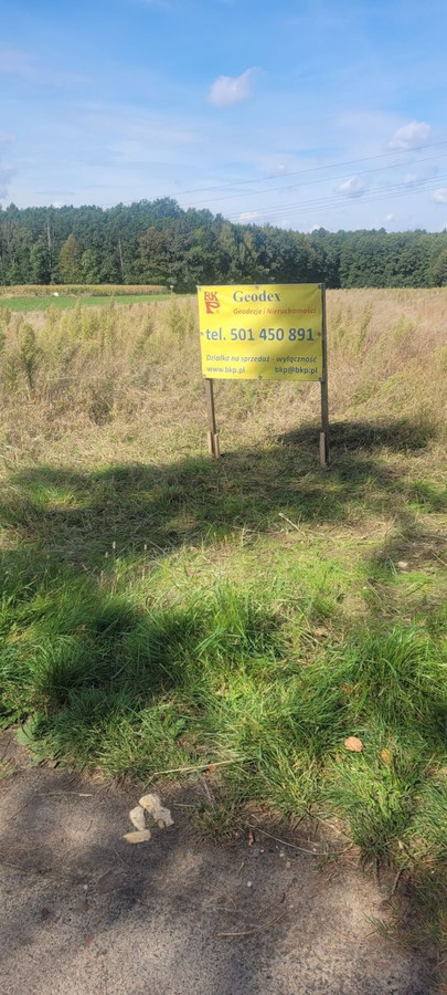 działka budowlana - Widok 2