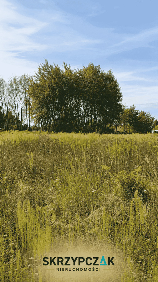 Gortatowo – tu natura spotyka się z wygodą życia blisko miasta - Widok 2