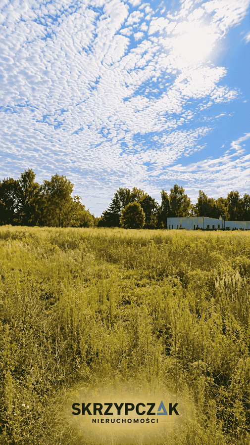 Gortatowo – tu natura spotyka się z wygodą życia blisko miasta - Widok 5