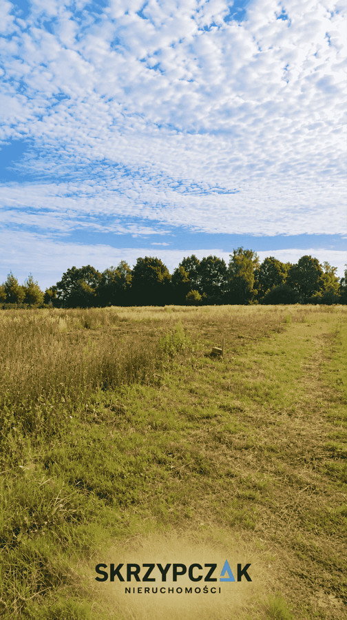 Gortatowo – tu natura spotyka się z wygodą życia blisko miasta - Widok 3