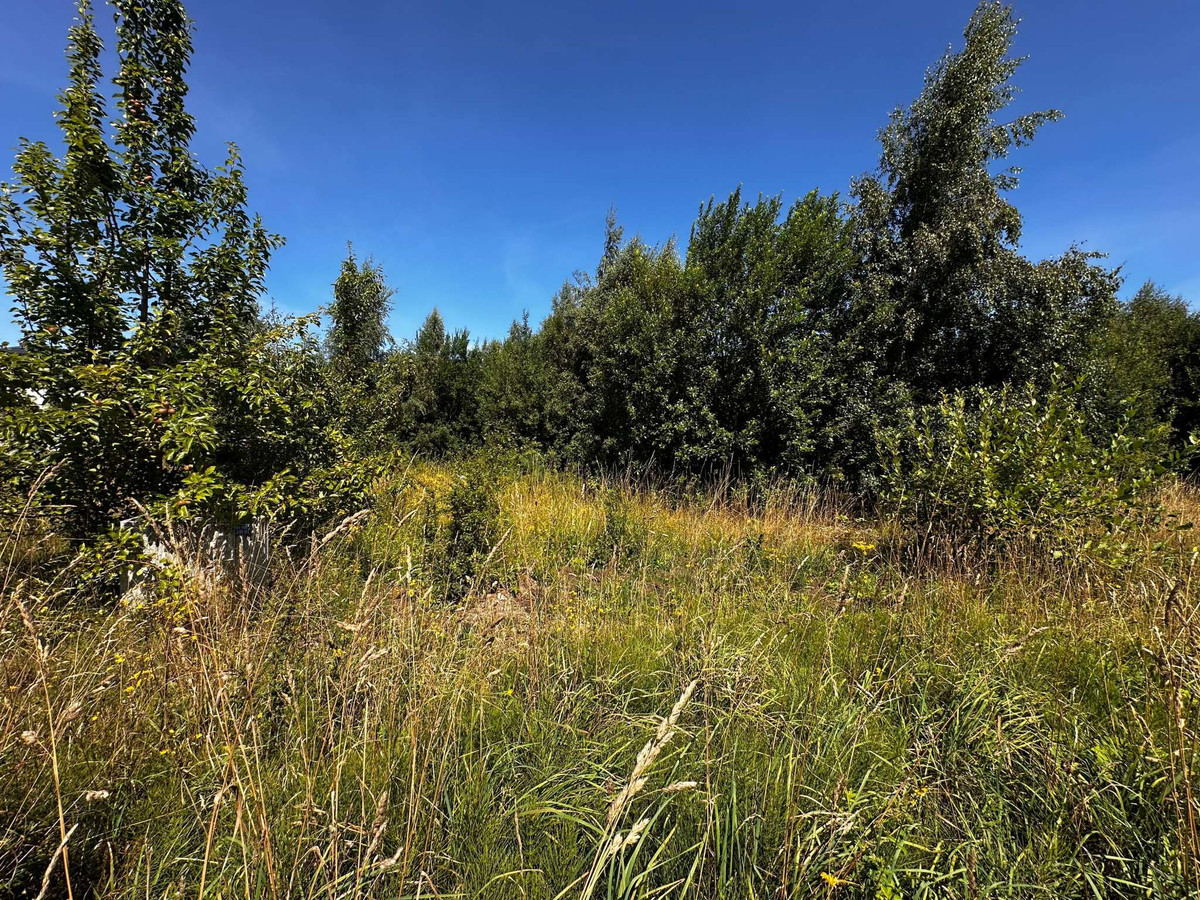 Działka budowlana Rusinowo - Widok 2