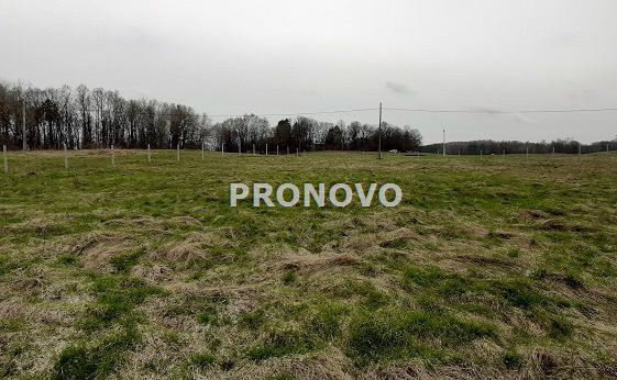 działka budowlana Siecino, Drawsko Po, Złocieniec - Widok 4