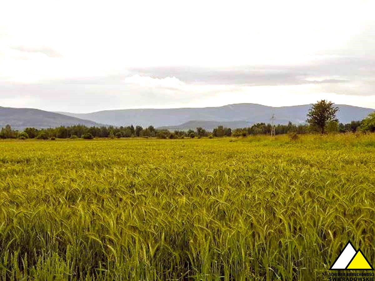 Działka z widokiem na góry - Widok 3