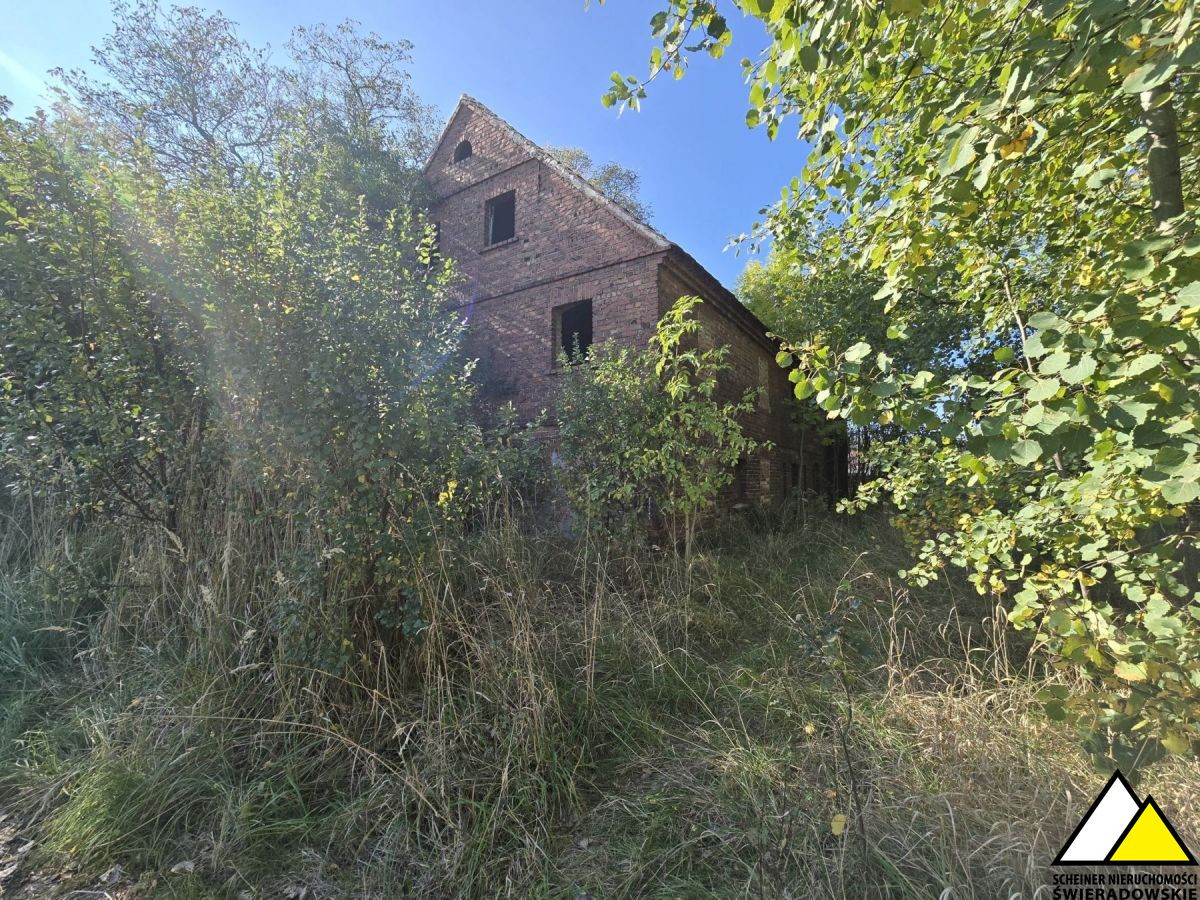 Dom – Olszyna - Widok 2