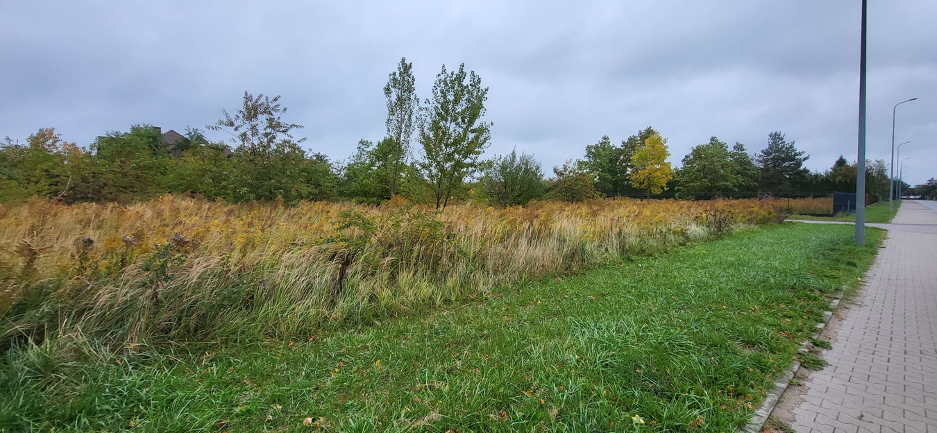 Działka budowlana Rosanów - Widok 3