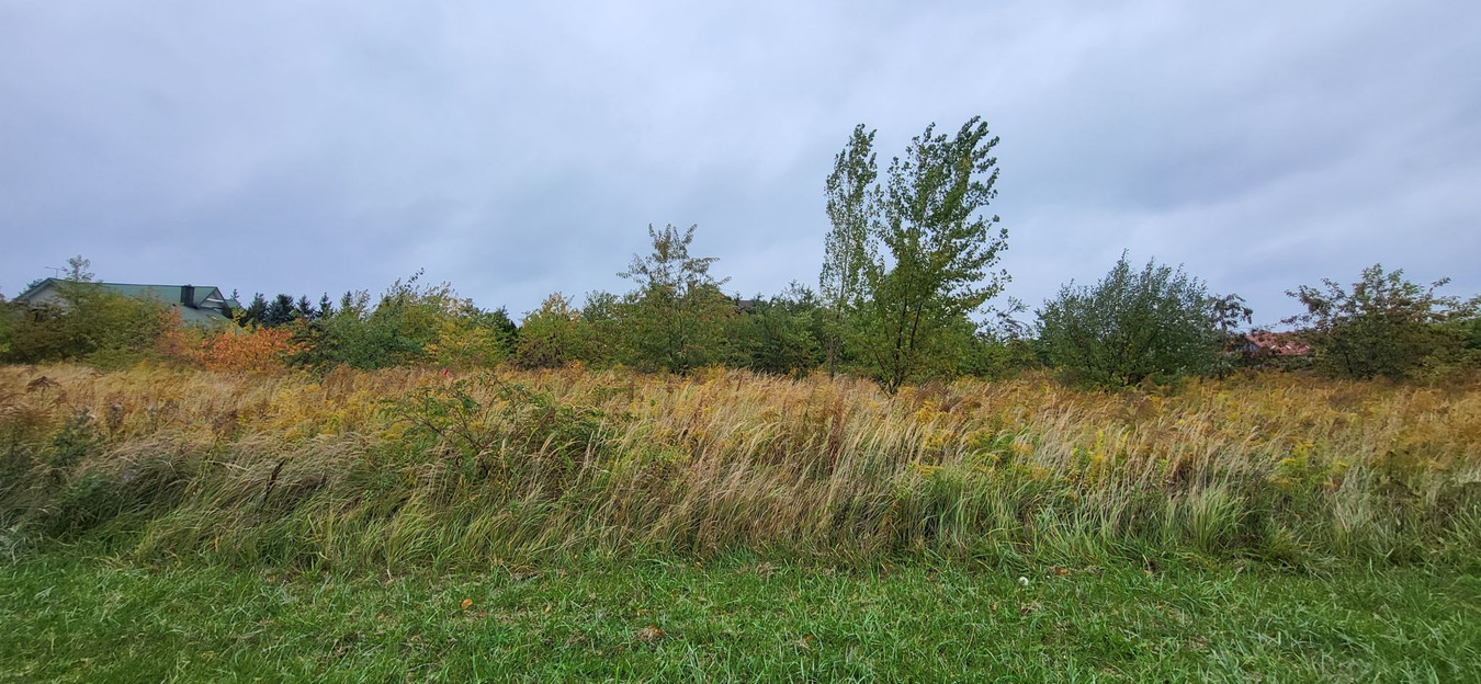 Działka budowlana Rosanów - Widok 4