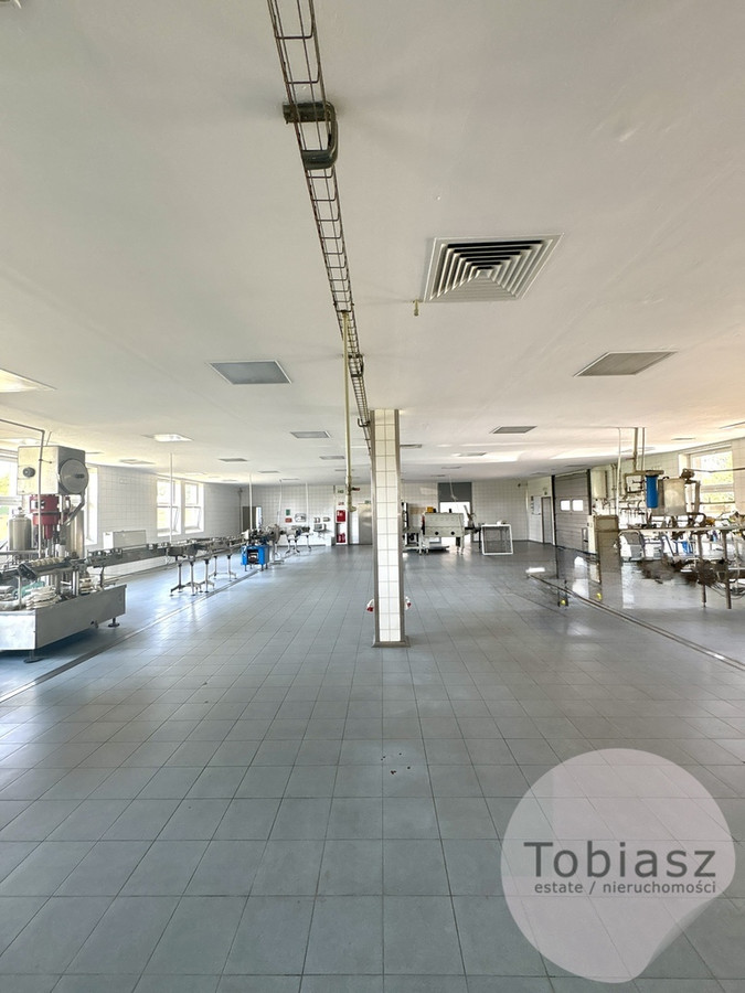 Budynek produkcyjno-magazynowy/ sanepid/HACCP - Widok 4