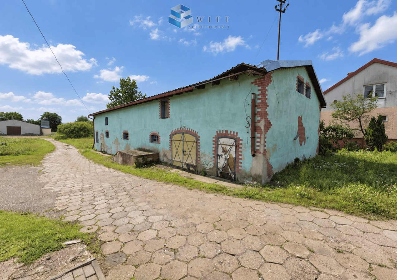 gratka-WITT-LS-2036 - Widok 4