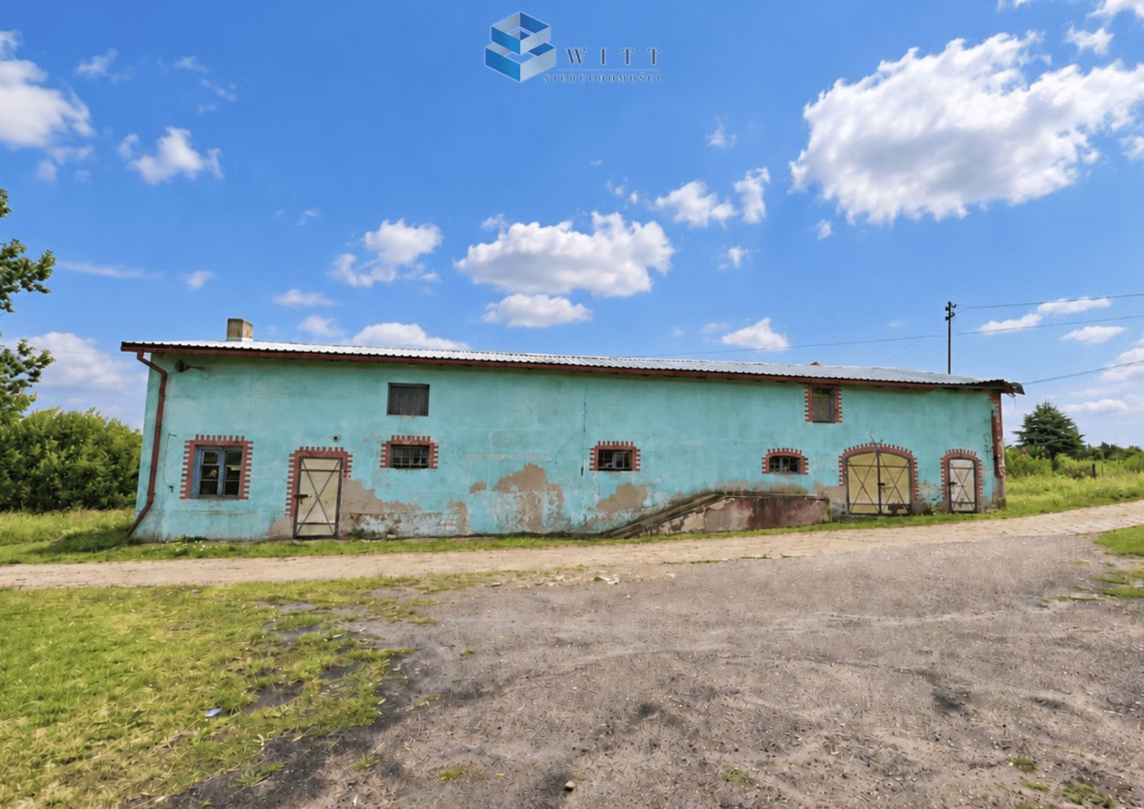 gratka-WITT-LS-2036 - Widok 5