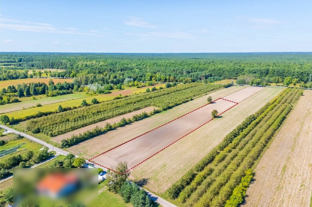 Teren pod inwestycję deweloperską lub usługi MN/U - Widok 2