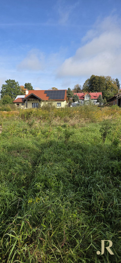 DZIAŁKA Z WARUNKAMI ZABUDOWY WORYTY - Widok 5