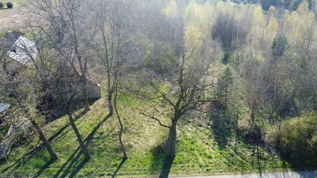 Dziełka rolna w Borowcu gm. Ciepielów pow. lipski - Widok 2