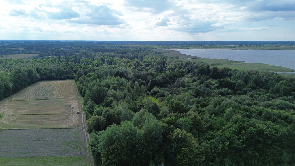 Działka, Wólka Nadrybska, 30 ar, - Widok 4