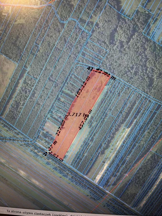 Działka rolna 3,75 ha w Kijance gm. Chotcza pow. Lipsko - Widok 5