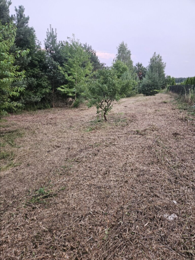 Działka budowlana min 20 arów Dąbrowa gm. Ludwin - Widok 2