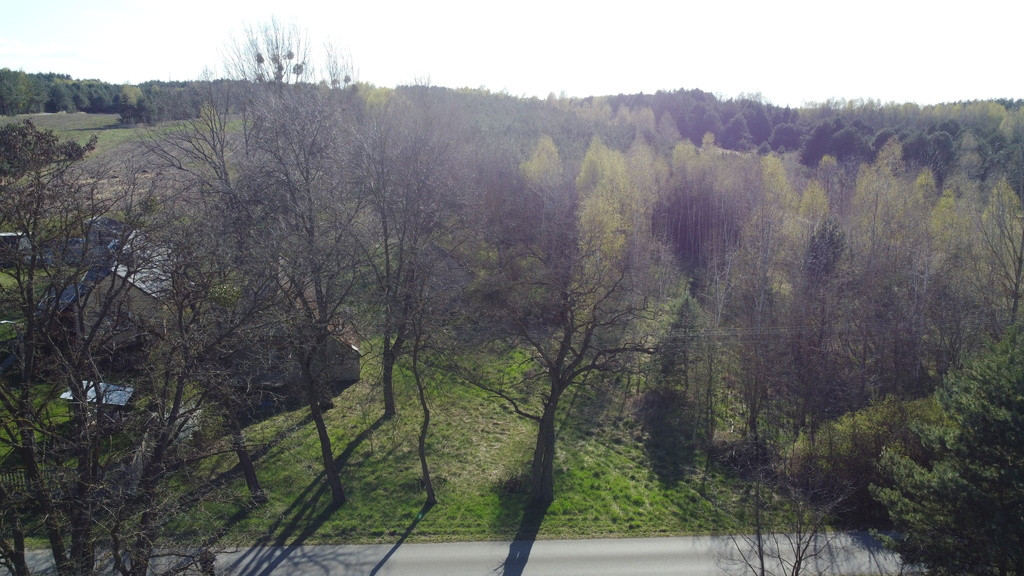 Dziełka rolna w Borowcu gm. Ciepielów pow. lipski - Widok 3