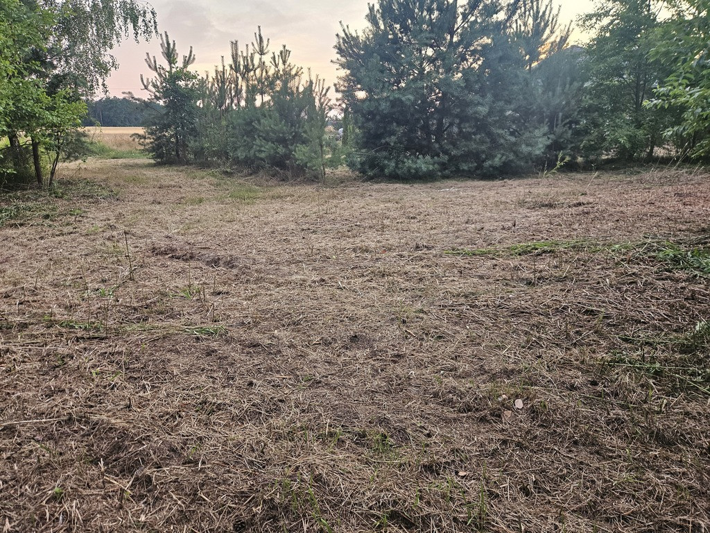 Działka budowlana min 20 arów Dąbrowa gm. Ludwin - Widok 4