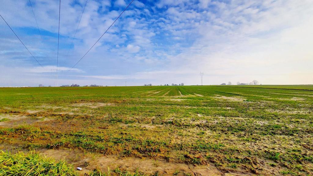 Działka 14ar pod zab. jednorodzinną - Zemborzyce - Widok 2