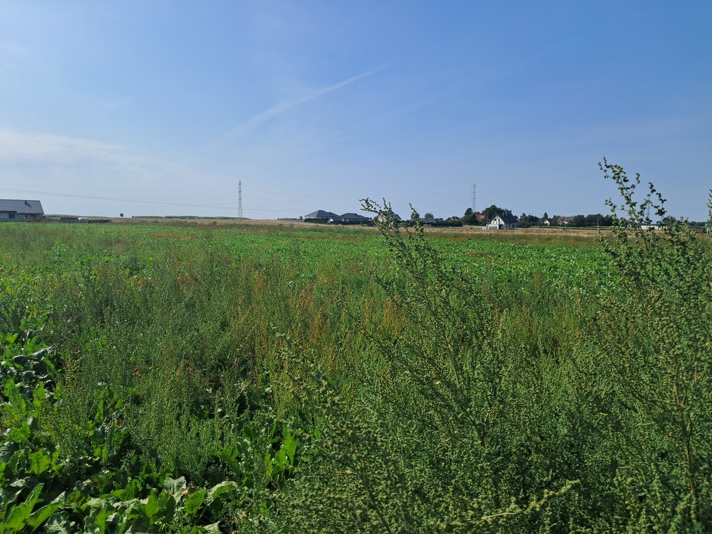 Uzbrojona działka. Gm. Puchaczów - Widok 4