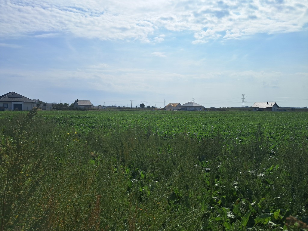 Uzbrojona działka. Gm. Puchaczów - Widok 5