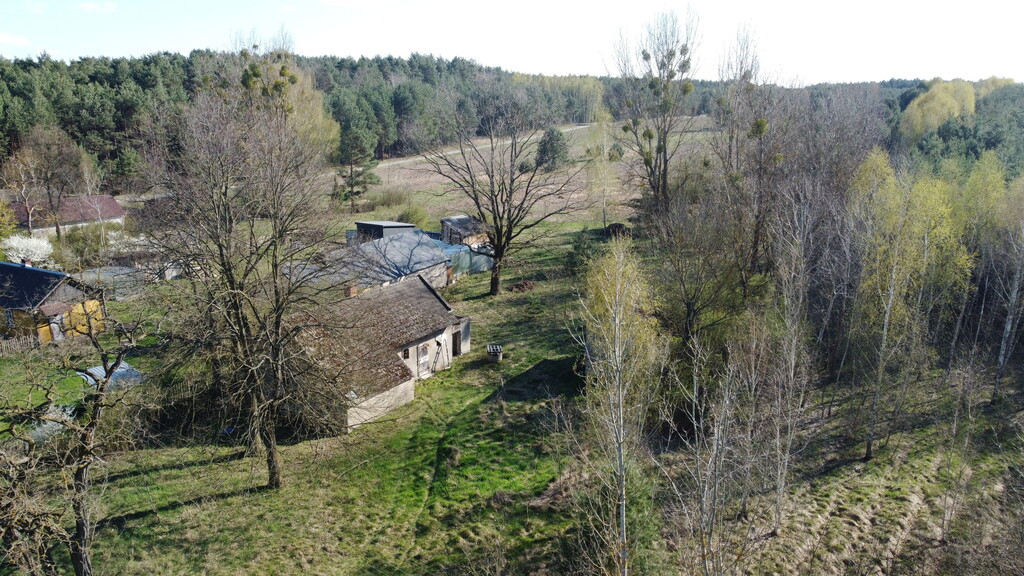 Dziełka rolna w Borowcu gm. Ciepielów pow. lipski - Widok 5