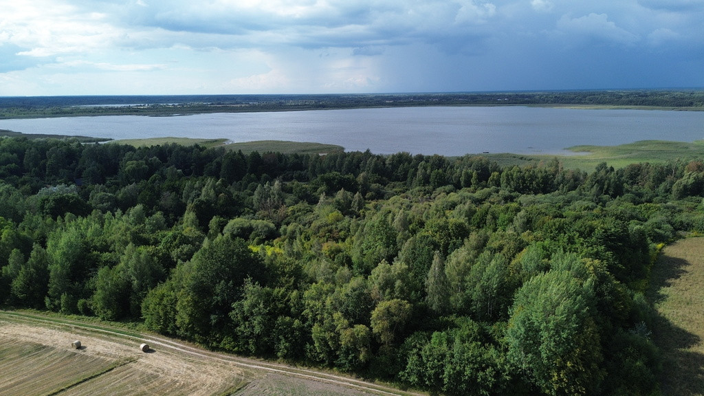 Działka, Wólka Nadrybska, 30 ar, - Widok 3