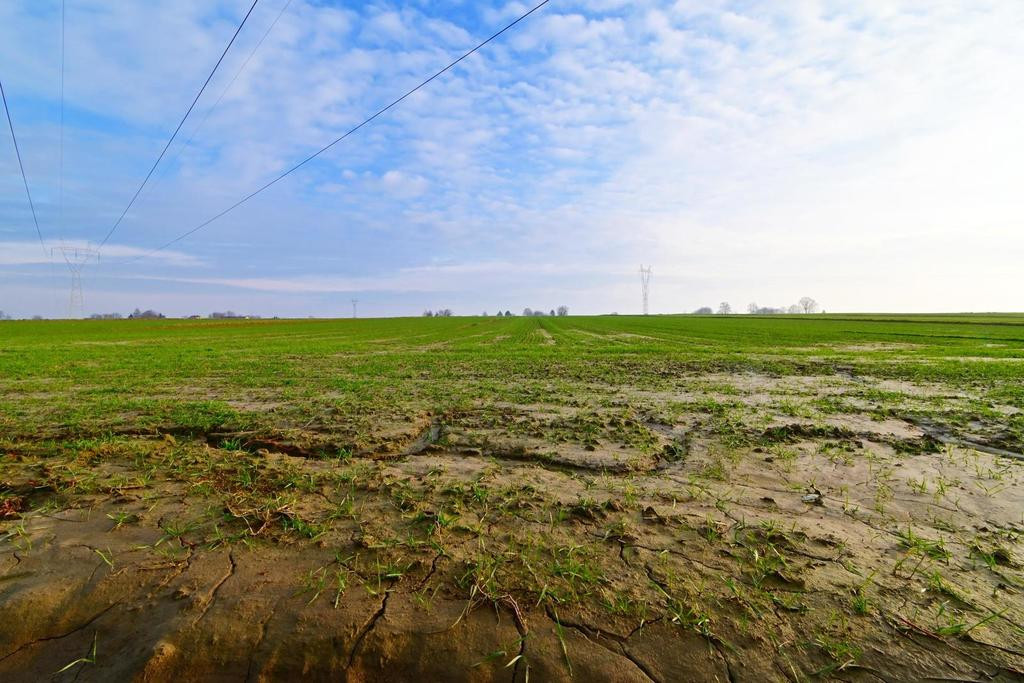 Działka 14ar pod zab. jednorodzinną - Zemborzyce - Widok 3