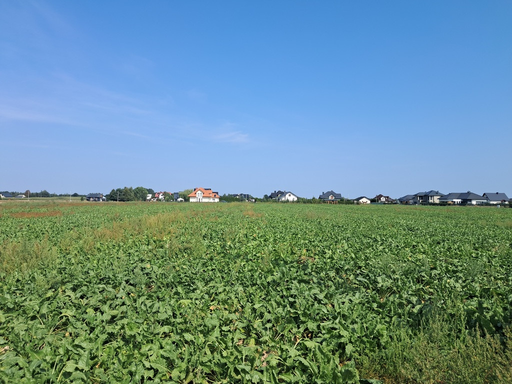 Uzbrojona działka. Gm. Puchaczów - Widok 3