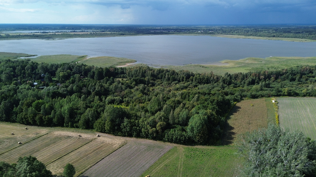 Działka, Wólka Nadrybska, 30 ar, - Widok 2