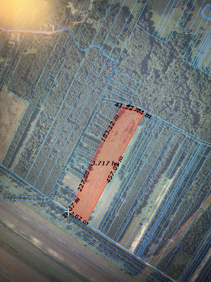 Działka rolna 3,75 ha w Kijance gm. Chotcza pow. Lipsko - Więcej