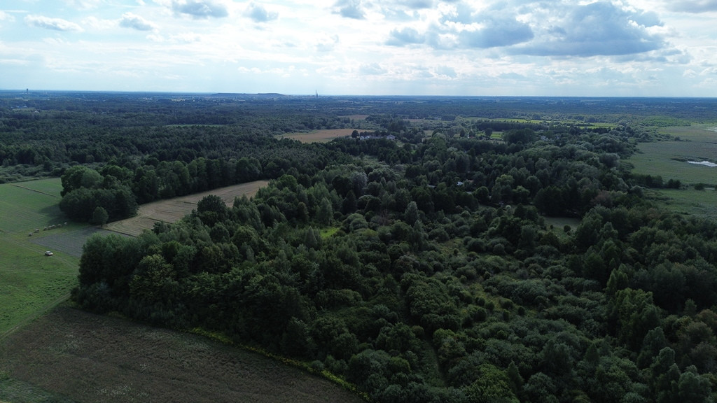 Działka, Wólka Nadrybska, 30 ar, - Widok 5
