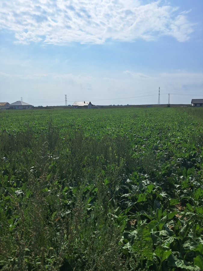 Działka budowalna 16a - Gm. Puchaczów - Turowola - Widok 3