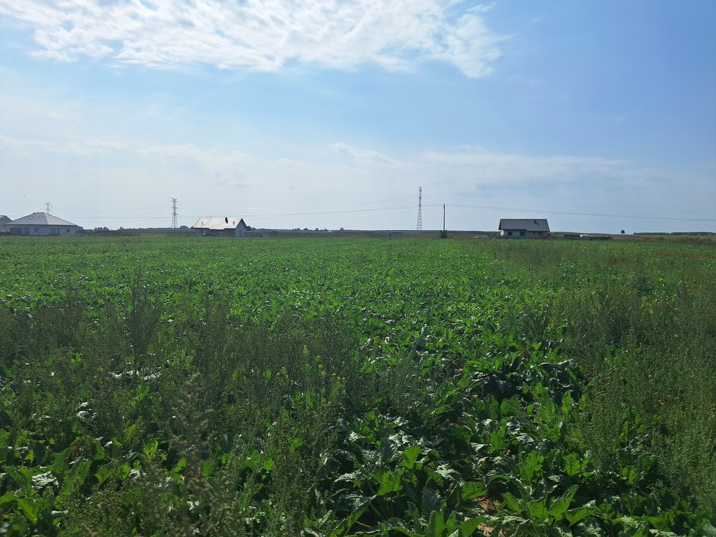 Uzbrojona działka. Gm. Puchaczów - Widok 2