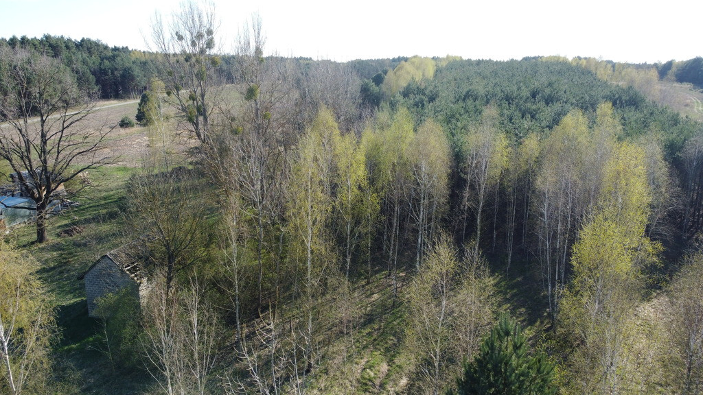 Dziełka rolna w Borowcu gm. Ciepielów pow. lipski - Widok 6