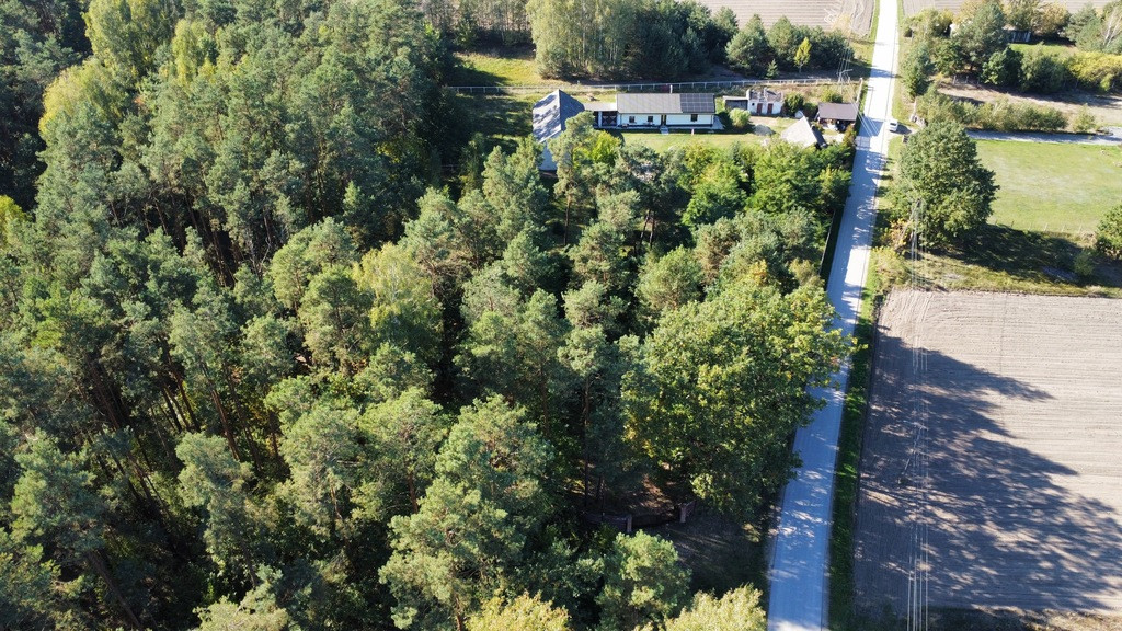 Dom – Chotcza, Siekierka Nowa - Więcej