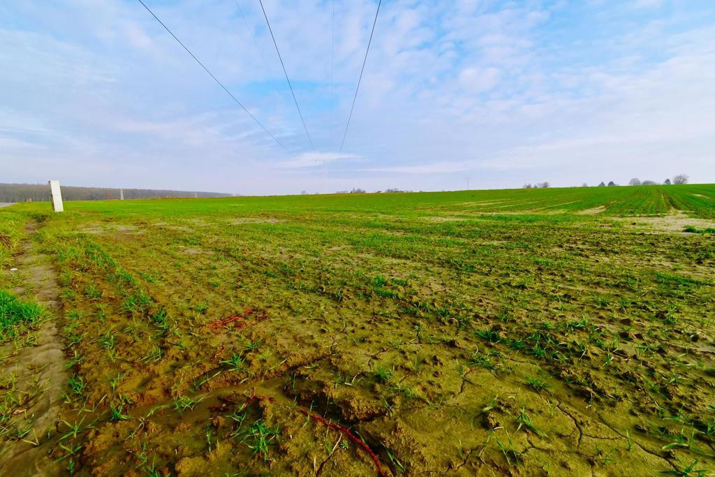Działka 14ar pod zab. jednorodzinną - Zemborzyce - Widok 4