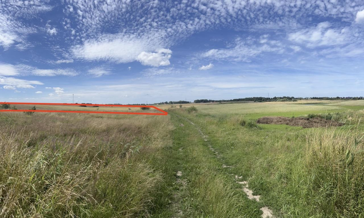 DZIAŁKA o pow. 4.691 m² Zieleniewo tylko 48 zł/m2 - Widok 6